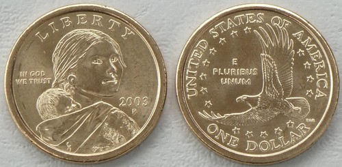Dollaro dei nativi americani