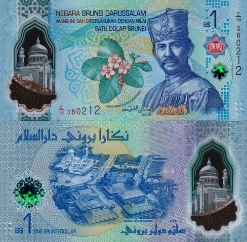 Brunei dollar 2026 - 2026, (2024)