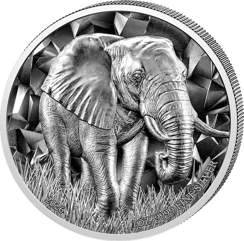 Moneta argento elefante - moneta,